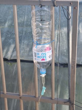 호미대장님의 자유주제 · 자유게시판 작성글 사진