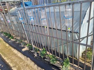 호미대장님의 자유주제 · 자유게시판 작성글 사진