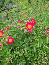 팜모닝 자유주제·사진전 게시글 이미지