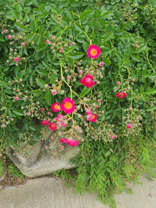 牛步俞昌煥님의 자유주제 · 사진전 작성글 사진