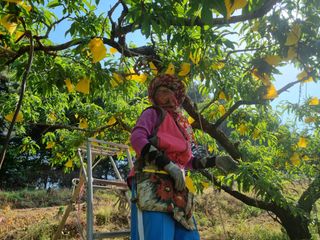 변광우님의 자유주제 · 자유게시판 작성글 사진