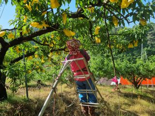 변광우님의 자유주제 · 자유게시판 작성글 사진