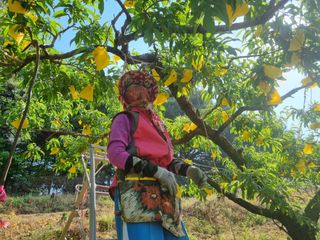 변광우님의 자유주제 · 자유게시판 작성글 사진