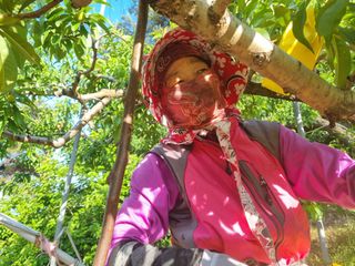 변광우님의 자유주제 · 자유게시판 작성글 사진