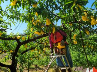 변광우님의 자유주제 · 자유게시판 작성글 사진