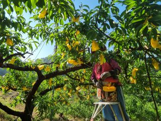변광우님의 자유주제 · 자유게시판 작성글 사진