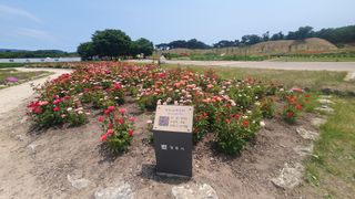 박철규 님의 자유주제 · 자유게시판 작성글 사진