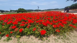 박철규 님의 자유주제 · 자유게시판 작성글 사진