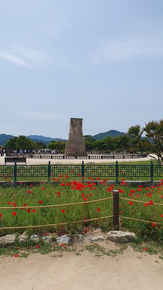 박철규 님의 자유주제 · 자유게시판 작성글 사진