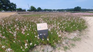 박철규 님의 자유주제 · 자유게시판 작성글 사진