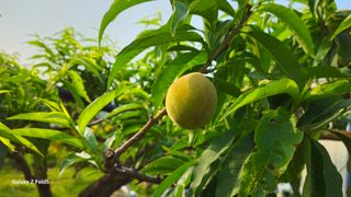 박현주님의 자유주제 · 자유게시판 작성글 사진