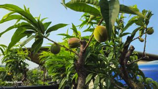 박현주님의 자유주제 · 자유게시판 작성글 사진