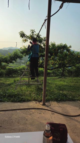 박현주님의 자유주제 · 자유게시판 작성글 사진