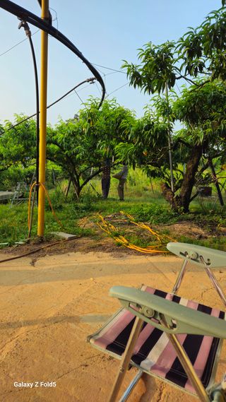 박현주님의 자유주제 · 자유게시판 작성글 사진