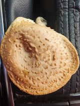 팜모닝 자유주제·건의해요 게시글 이미지