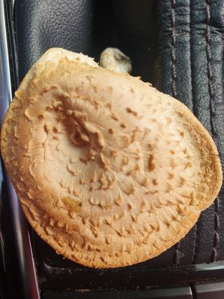 왕초보농부농님의 자유주제 · 건의해요 작성글 사진