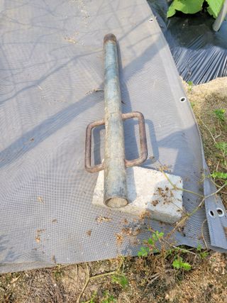 땅땅님의 고추 · 지주설치•유인•성장 작성글 사진