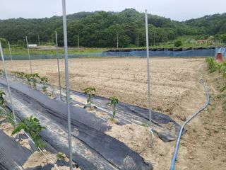 희상님의 자유주제 · 자유게시판 작성글 사진