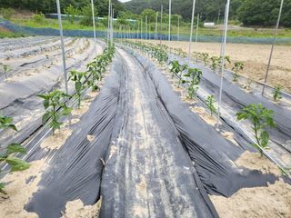 희상님의 자유주제 · 자유게시판 작성글 사진