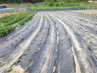 희상님의 자유주제 · 자유게시판 작성글 사진