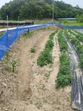 희상님의 자유주제 · 자유게시판 작성글 사진