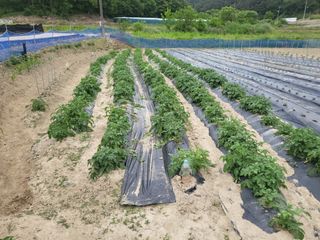 희상님의 자유주제 · 자유게시판 작성글 사진