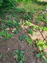 팜모닝 자유주제·사진전 게시글 이미지