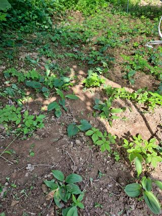 이미자님의 자유주제 · 사진전 작성글 사진