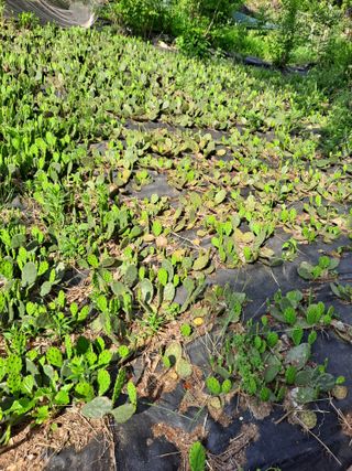 이미자님의 자유주제 · 사진전 작성글 사진