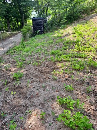 이미자님의 자유주제 · 사진전 작성글 사진