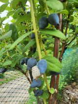 팜모닝 자유주제·자유게시판 게시글 이미지