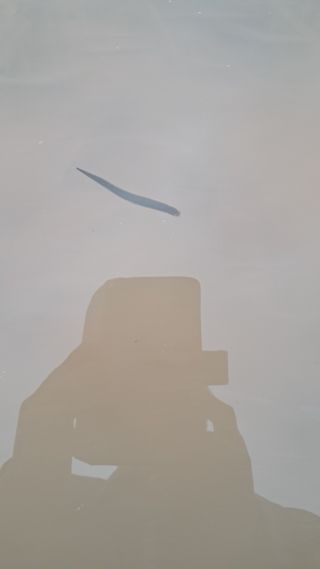 김영택님의 자유주제 · 사진전 작성글 사진