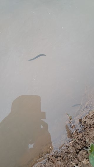 김영택님의 자유주제 · 사진전 작성글 사진