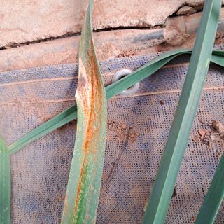 bpjh9173님의 올해 방제 어떻게 하셨나요? · 참여글 작성글 사진