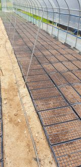 팜모닝 들깨·영농일지 게시글 이미지