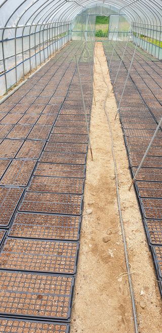 알 수 없음님의 들깨 · 영농일지 작성글 사진