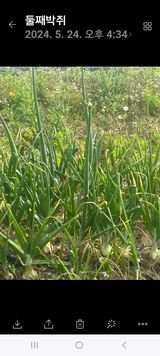 팜모닝 자유주제·자유게시판 게시글 이미지