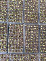 팜모닝 자유주제·자유게시판 게시글 이미지