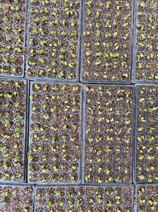 황주철님의 자유주제 · 자유게시판 작성글 사진