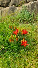 팜모닝 자유주제·자유게시판 게시글 이미지