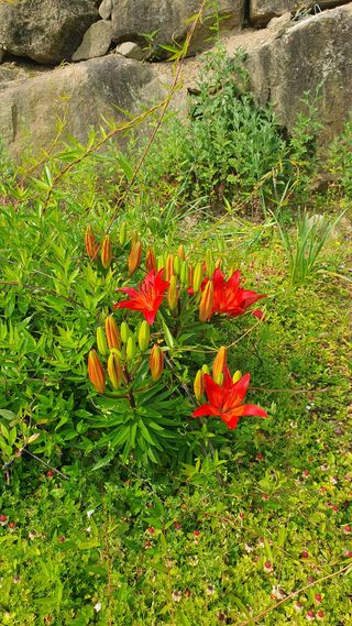 다온아띠농원 장현호님의 자유주제 · 자유게시판 작성글 사진