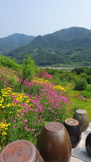 다온아띠농원 장현호님의 자유주제 · 자유게시판 작성글 사진