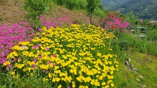 다온아띠농원 장현호님의 자유주제 · 자유게시판 작성글 사진