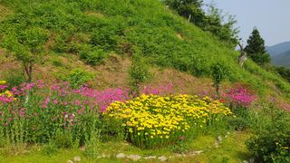 다온아띠농원 장현호님의 자유주제 · 자유게시판 작성글 사진