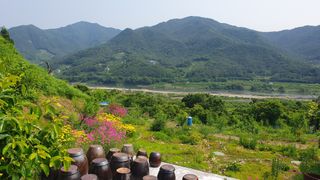 다온아띠농원 장현호님의 자유주제 · 자유게시판 작성글 사진