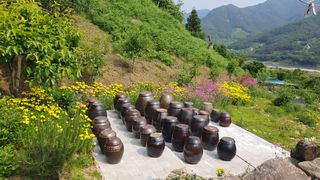 다온아띠농원 장현호님의 자유주제 · 자유게시판 작성글 사진