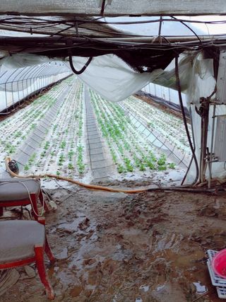 사랑해정말로님의 팜모닝 · 출석 작성글 사진