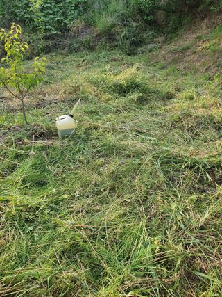 매실향기차향기님의 자유주제 · 자유게시판 작성글 사진