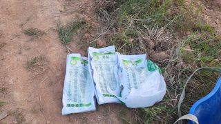 조미숙님의 참깨 · 영농일지 작성글 사진