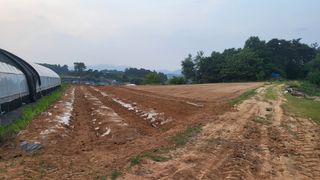 조미숙님의 참깨 · 영농일지 작성글 사진